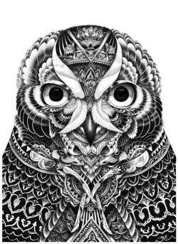 artmonia:  Amazing Owl Portraits by English