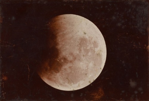 dame-de-pique:The moon during total eclipse,Red Hill Station, Pennant Hills, New South Wales, Austra