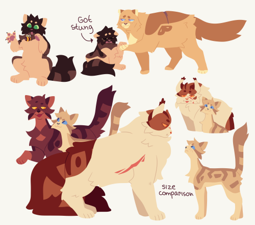 OK MORE SBI CATS LUL
