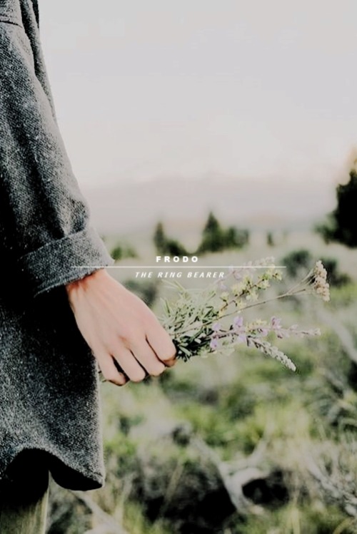 hiistoria:I will take the Ring to Mordor. Though… I do not know the way.