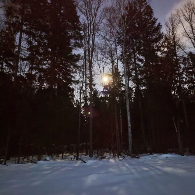 #nightshot #nightphotography #forest #forestphotography #winter #winterwoods #winterforest #naturephotography #nature #naturephoto #moon #moonlight #moonlight🌙 #trees #snowforest #snow #wood #природа #ночь #ночнаясъемка #лес #луна #лунныйсвет #деревья #зимнийлес #зима  https://www.instagram.com/p/CYy84wdMzqG/?utm_medium=tumblr #nightshot#nightphotography#forest#forestphotography#winter#winterwoods#winterforest#naturephotography#nature#naturephoto#moon#moonlight#moonlight🌙#trees#snowforest#snow#wood#природа#ночь#ночнаясъемка#лес#луна#лунныйсвет#деревья#зимнийлес#зима