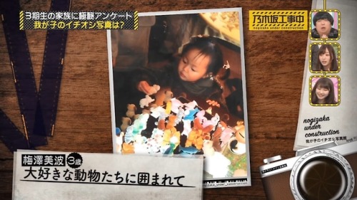 Nogi 3rd gen baby version adult photos