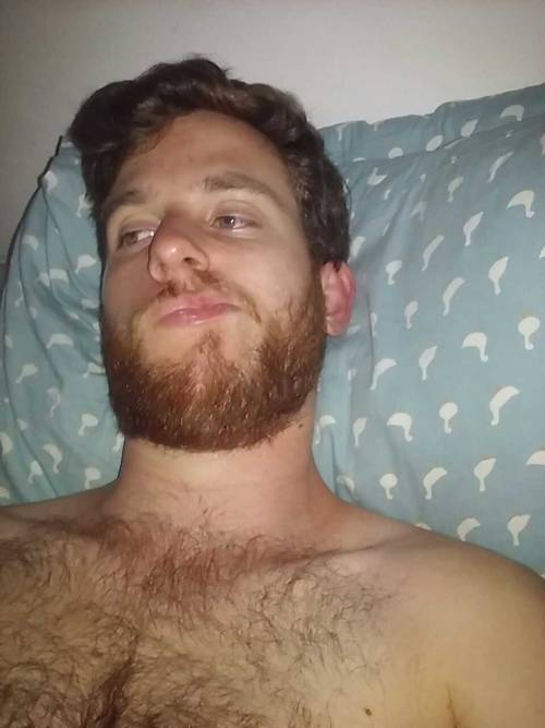 Porn Beard! photos