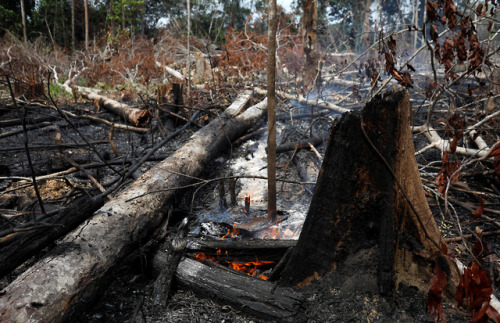 PHOTOS: Amazon rainforest burnsThe famous Amazon rainforest, covering much of northwestern Brazil an