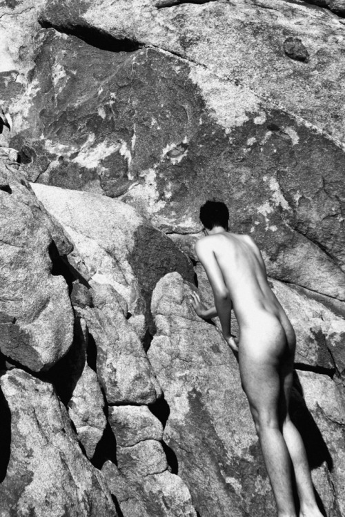 optichron:  Joshua Tree, California | 2016 | © Mitch Cullin Site | Saatchi  | Amazon | FB | Photobooks | Black Book Studies 