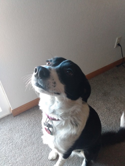 Not An Actual Tooka But Rate My Tooka? 