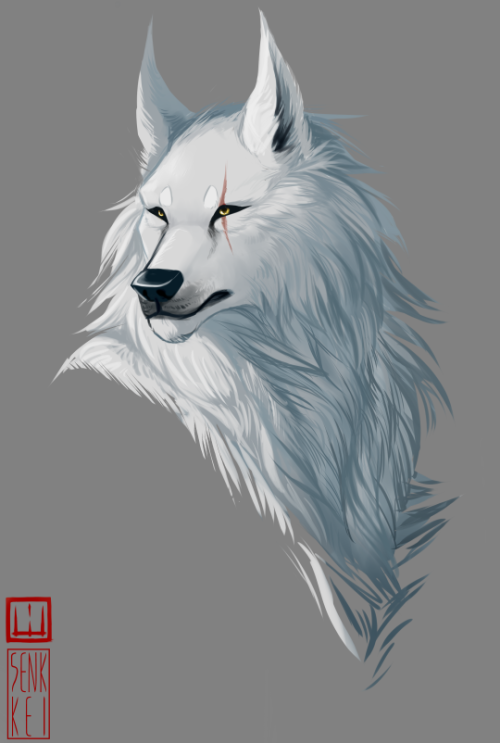 senkkeidraws:werewolf sketch from tonight’s stream