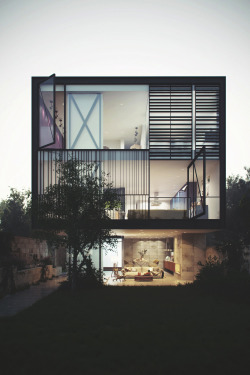 envyavenue:  Glass Box Home