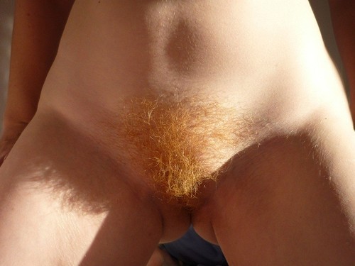 tuftednethers:  See more beautiful tufts at Tufted Nethers 