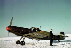 ww1ww2photosfilms:  Messerschmitt BF-109F