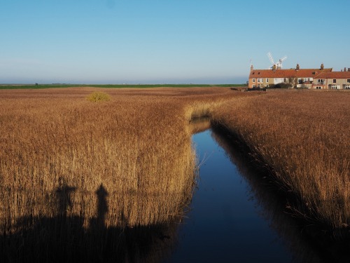 Norfolk.A walk from Wiveton Downs to Wiveton, on to Cley then Blakeney.December 2020