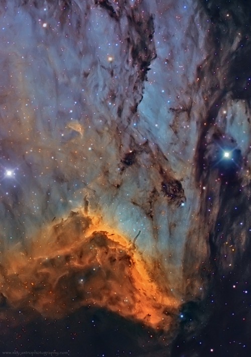  IC5070 - The Pelican Nebula by Jesús M. Vargas and Maritxu Poyal &ldquo;New reprocessed. This time the sum total of