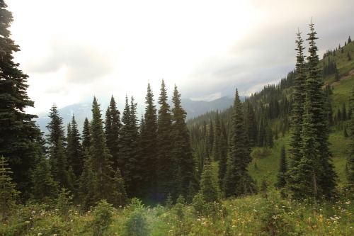 burningmine:Naches Peak Loop, August 2020