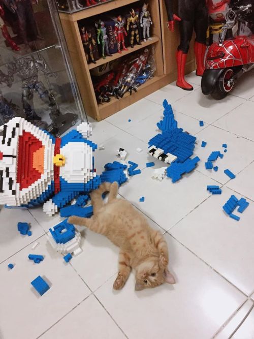 catsbeaversandducks: Man Spends One Week To Painstakingly Build A 2342-Piece Lego Figure Only For Hi