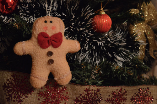 Gingerbread Man :)