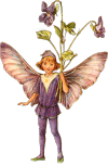 winslowat3am:✧* Vintage Flower Fairies by Cicely Mary Barker ✧*