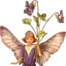 winslowat3am:✧* Vintage Flower Fairies by Cicely Mary Barker ✧*