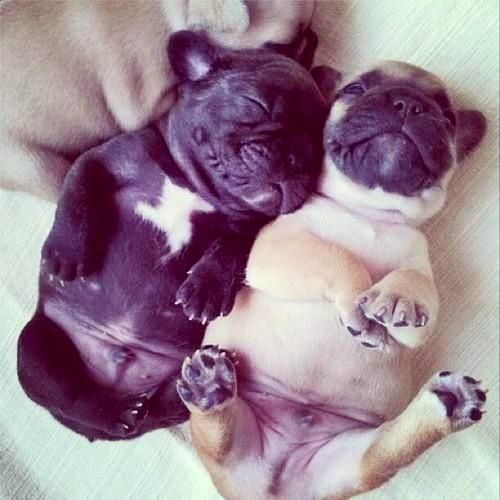 diefragebleibtgeschlossen:  aawww 