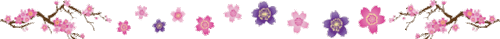 Sakura Flower+koi Fish Dividers
