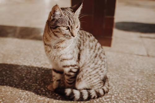 mecept:Photo by Anton Darius