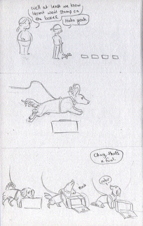 wyrddogs: Obviously I sketched this really fast, but this is how nosework class went last night.