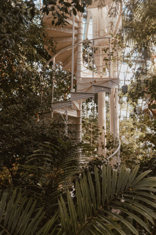 florealegiardini:Schönbrunn Palace Palmenhaus, Vienna, Austria | Monalogue