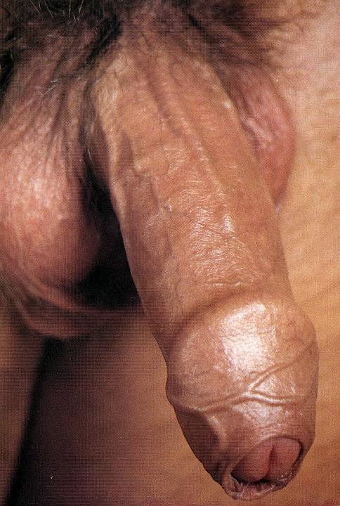 se19:  daveycdavey:  This is a 5 star penis of incredible beauty! What would I give