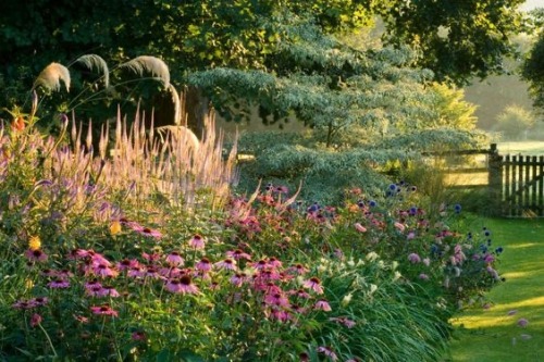 Nature Landscapes