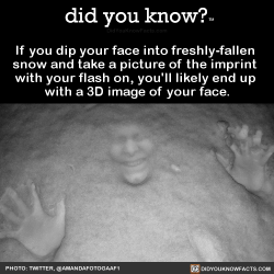 did-you-kno:  If you dip your face into freshly-fallen