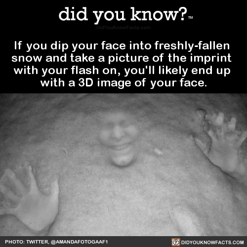 did-you-kno:  If you dip your face into freshly-fallen porn pictures