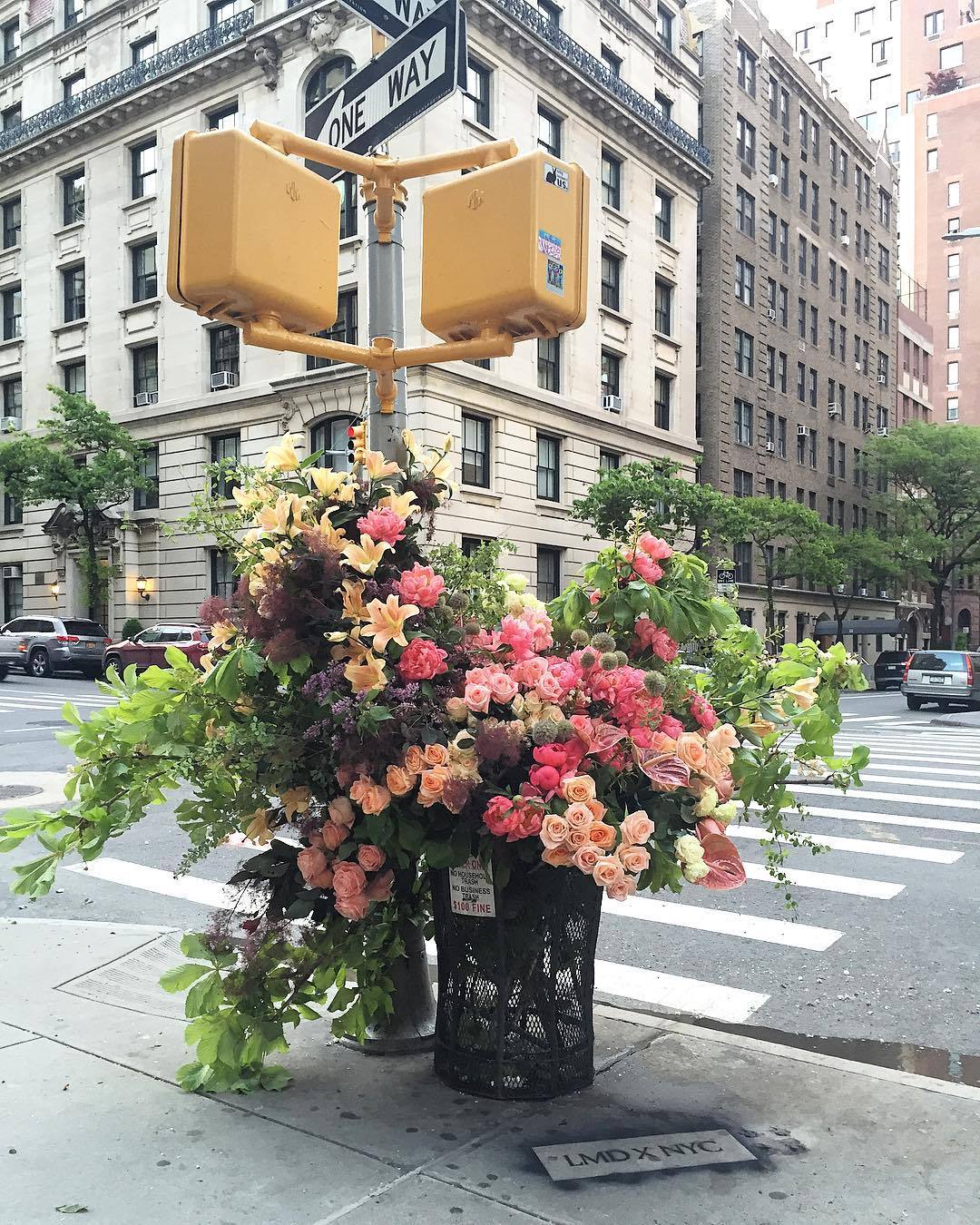trustyourblood:Guerilla Flower Installations on the Streets of NYC by Lewis Miller