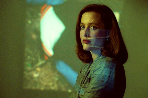 vavaharrison:See you tomorrow morning, Scully, bright and early. We leave for the very plausible sta