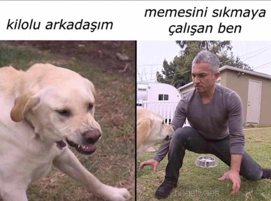 kilolu arkadaşım memesini...