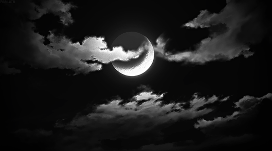 I love the moon
