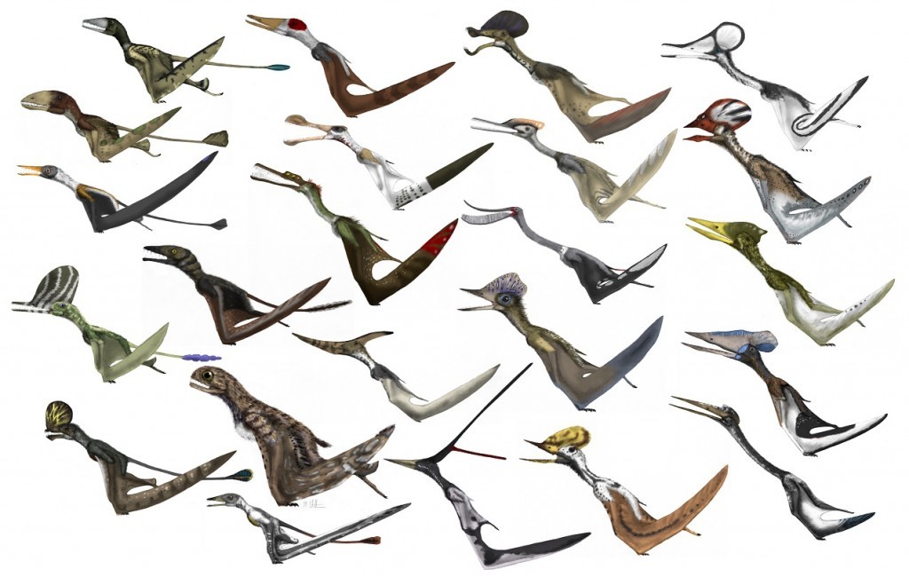 flying dinosaurs types