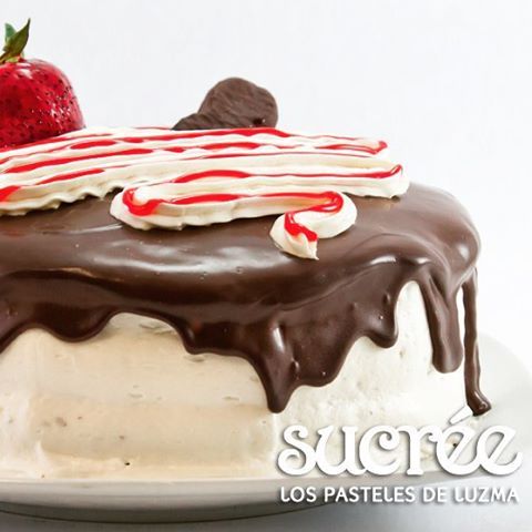 Sucrée Los Pasteles de Luzma - Pastelería — Bubulubu  #SucreeLosPastelesDeLuzma #bubulubu...