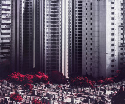 givncvrlos:  Hong Kong Verticality by Reuben