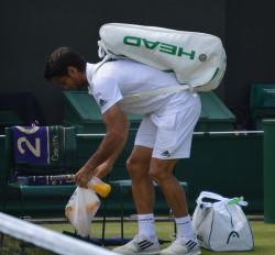 briefliner:  Fernando Verdasco, ESP, Wimbledon 2015 