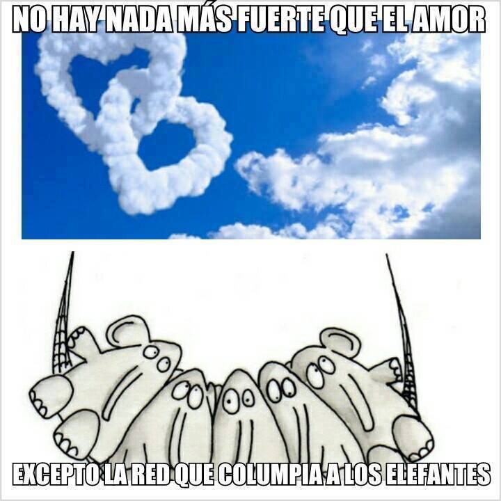 Dedocracia