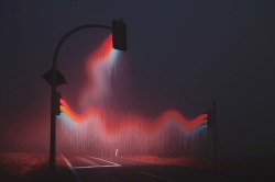 B.o.v