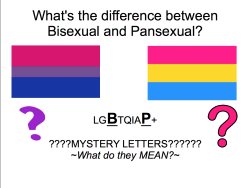 crumplelush:  c0l0rsandcar0usels:  prochoicebecausefuckoff:  fandomsandfeminism:  nireblue:  fandomsandfeminism:  The difference between bisexuality and pansexuality: a powerpoint guide.  (updated)   … but….why put the my little ponies in there…….