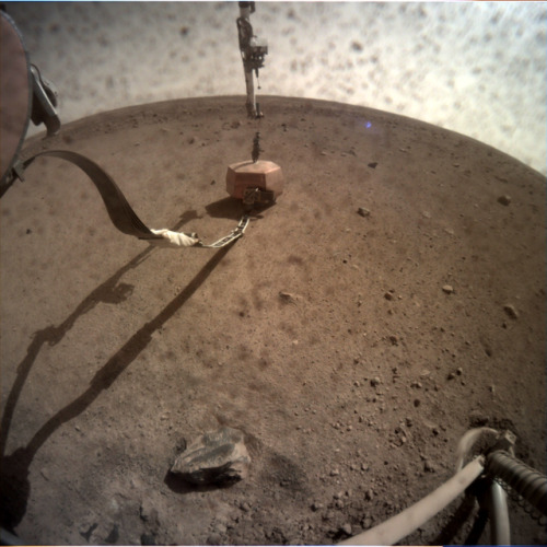 InSight: Sol 23 images are here, nothing dramatically new today, but the 4th photo shows just how sh