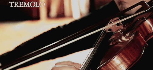 pianoviolinstudy:DÉTACHÉ —smooth separate bow strokes for each noteCOLLÉ —short sharp pinch, lift bo