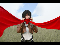 cosplay-photography:  Mikasa Ackerman by