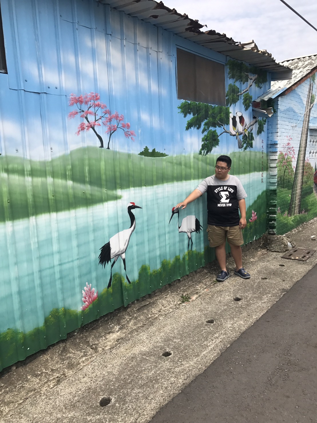哇係浩呆