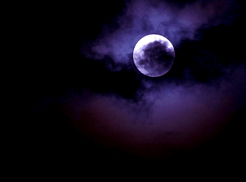 cristinaricci: THE X-FILES | Humbug (02.20)You know, Mulder…For a while there, I was beginnin