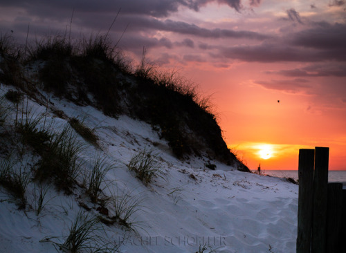 Sand Dunes and Sunsets on Clearwater Beach 