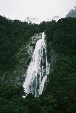 vacants:  Milford Sound, South Island, NZ