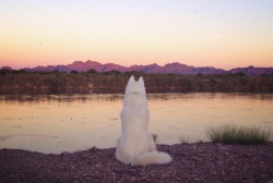 johnandwolf:  The Trigo Mountains glowing