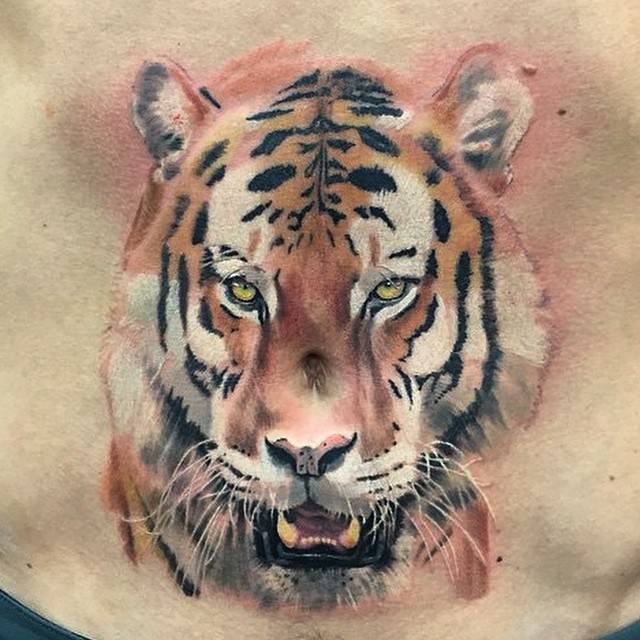 Lorenzo Bagatti Tattoo  Tiger on Stomach  Facebook